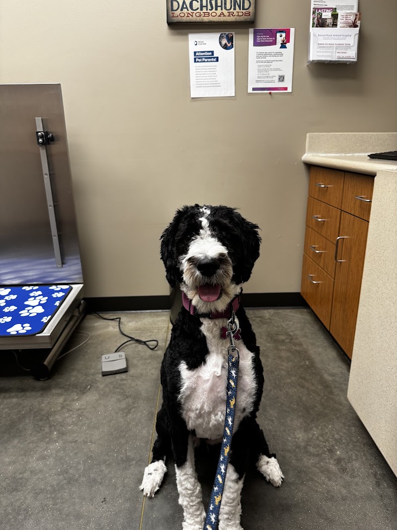 Round Rock Animal Hospital