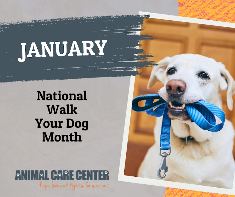 Animal Care Center