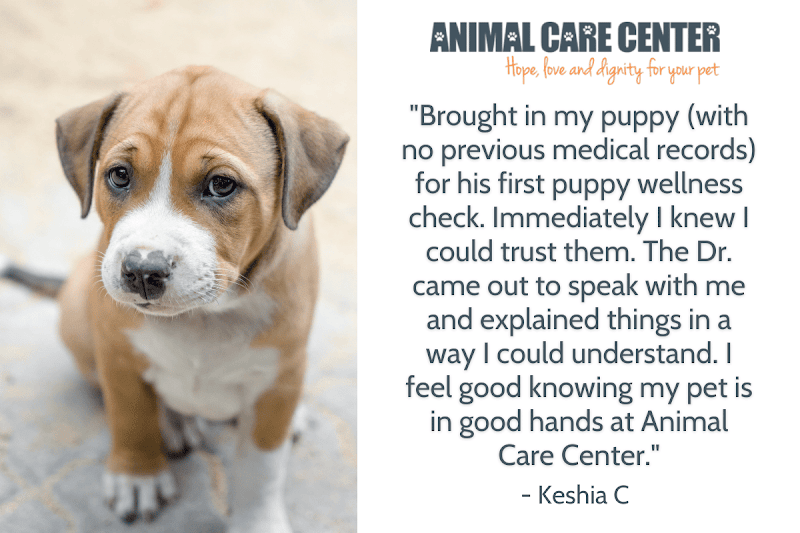 Animal Care Center