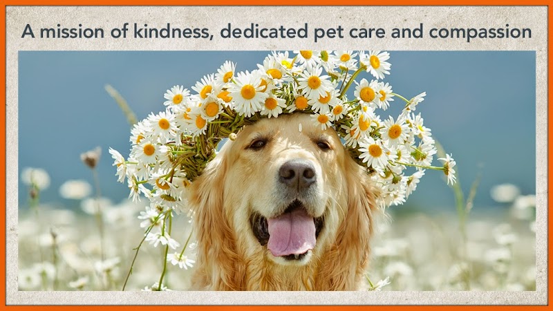 Animal Care Center - Smyrna