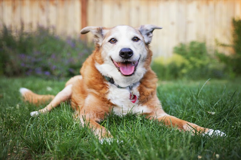 Animal Care Center