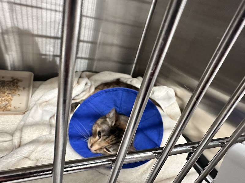 Veterinary Emergency Group