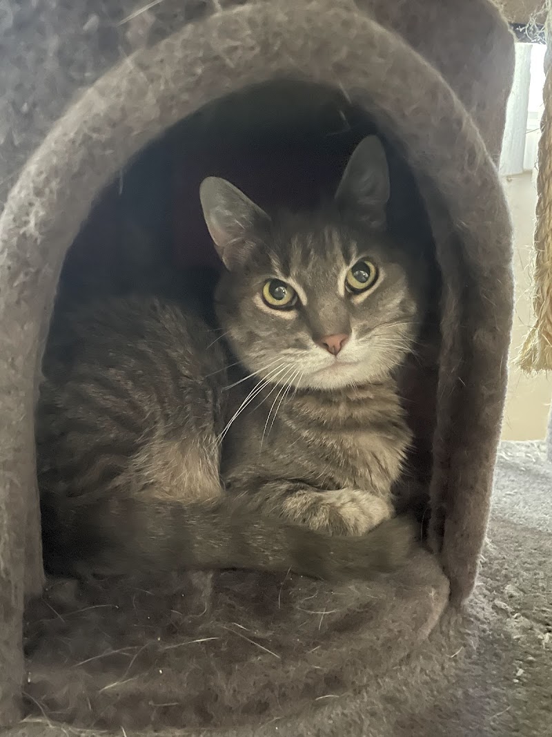 Orchard Park Veterinary Medical Center