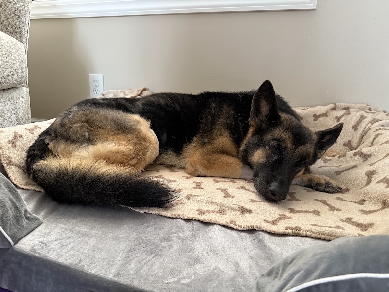 Orchard Park Veterinary Medical Center