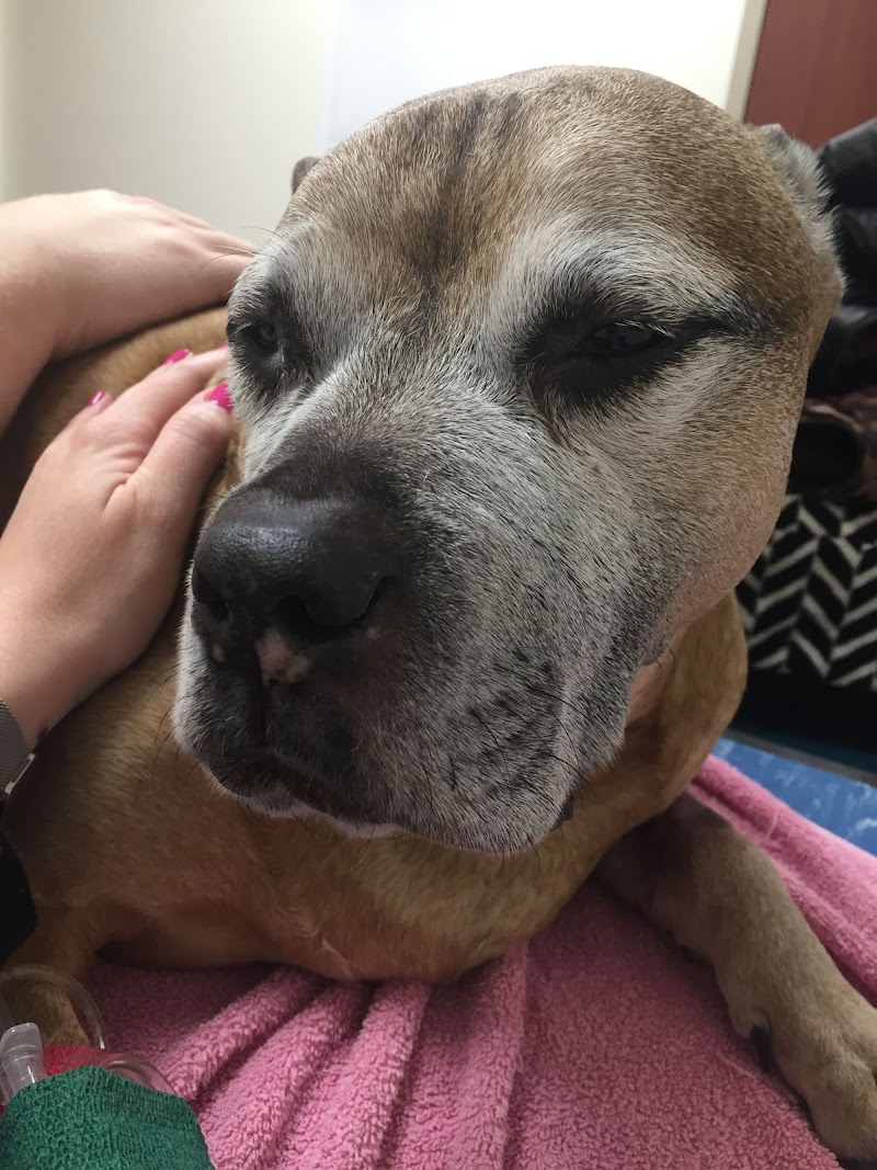 Orchard Park Veterinary Medical Center