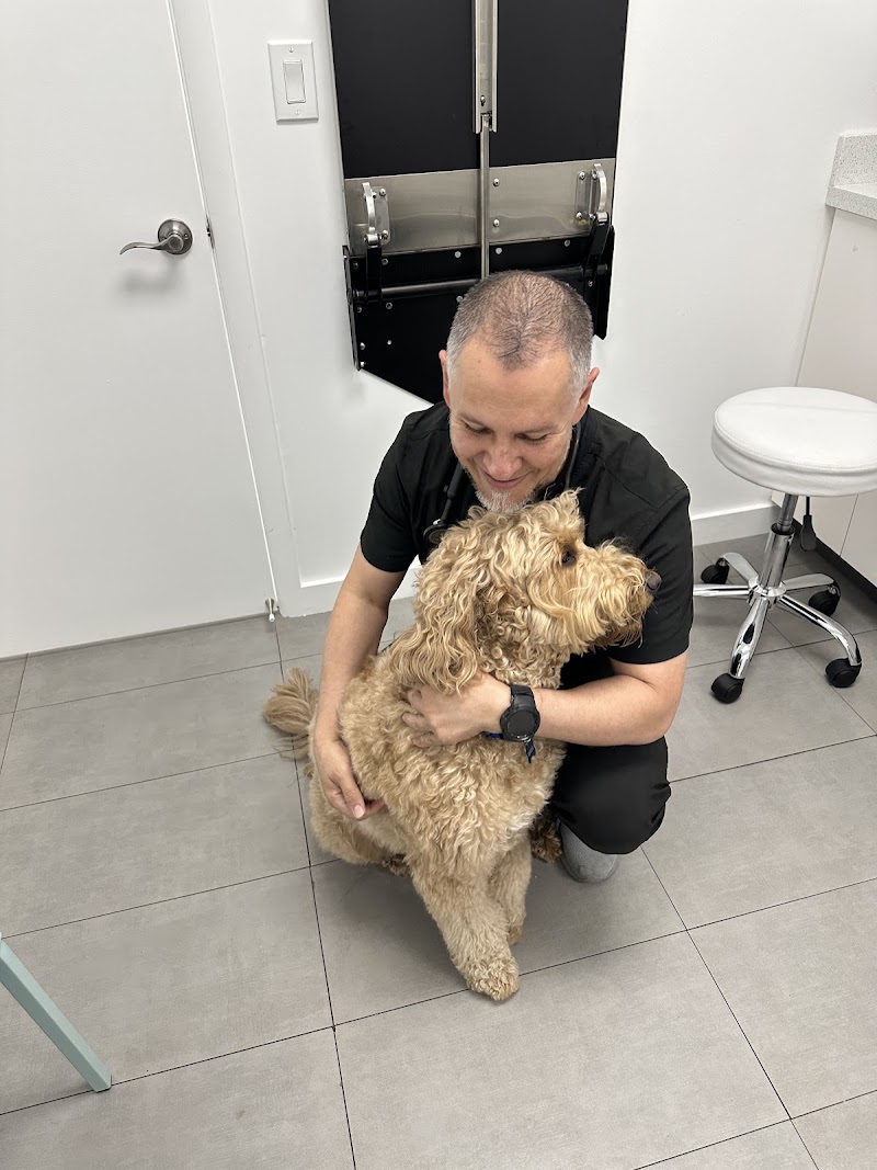 Alejo Vet Clinic