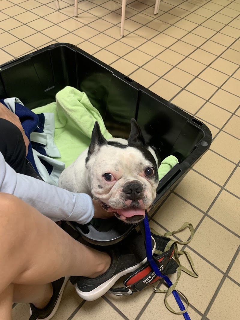 Garden State Veterinary Services Woodbridge