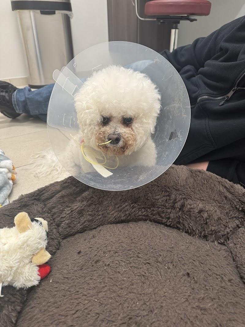 Garden State Veterinary Services Woodbridge