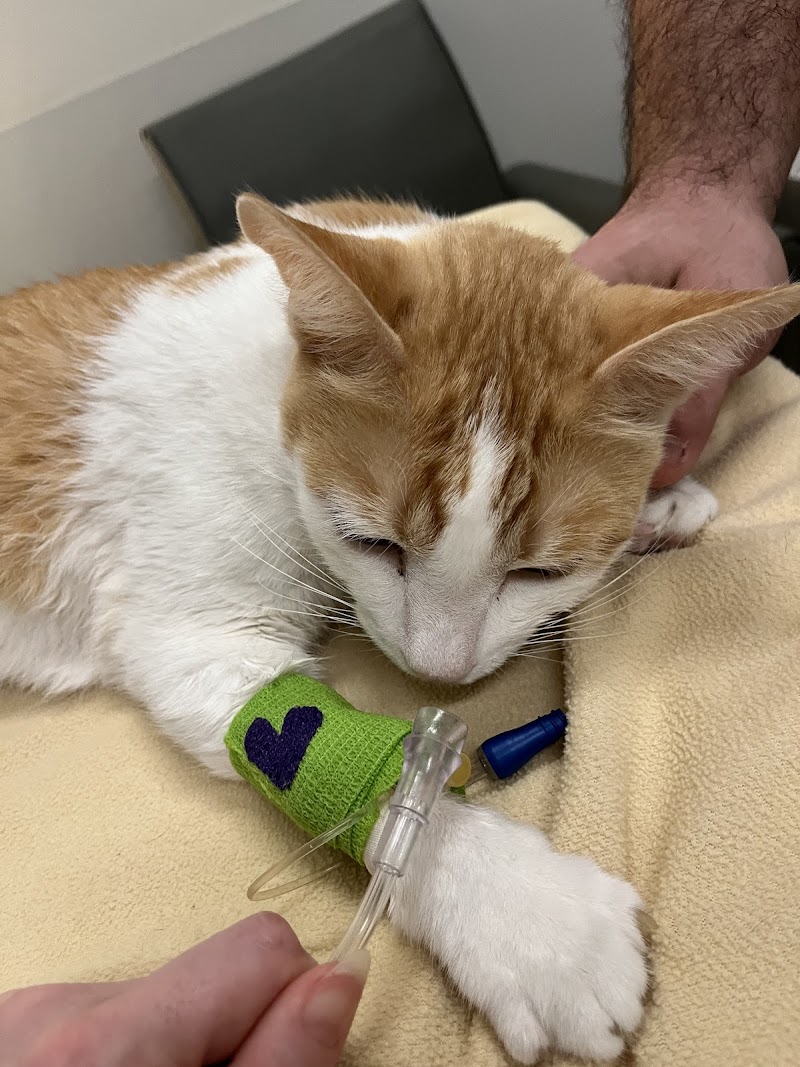 Garden State Veterinary Services Woodbridge