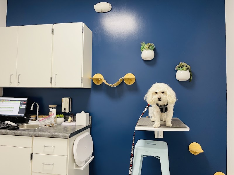 Polk Street Animal Hospital