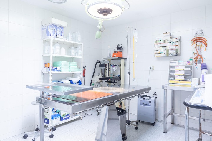 Sant Pau Veterinary Clinic