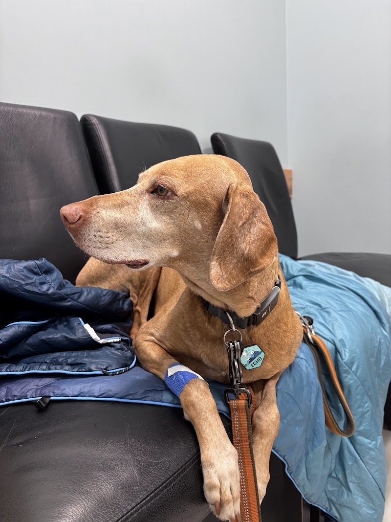 Tanasbourne Veterinary Emergency