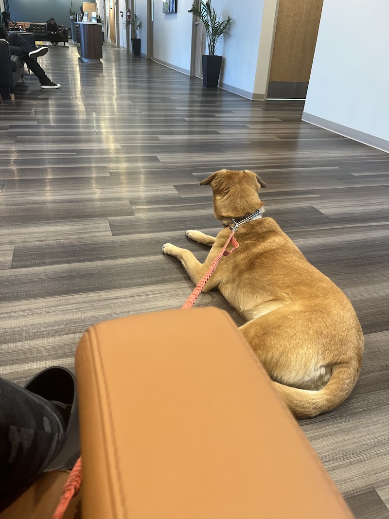 Tanasbourne Veterinary Emergency