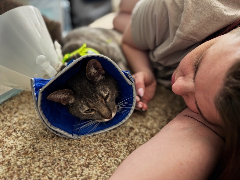 Tanasbourne Veterinary Emergency