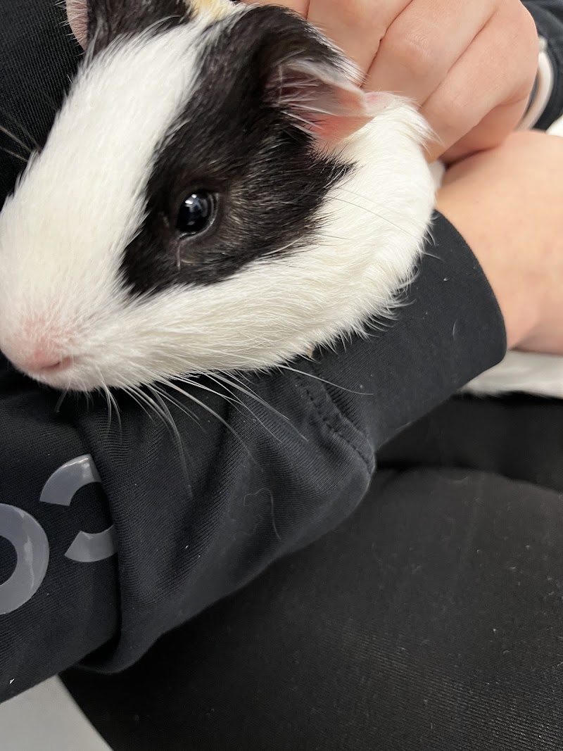 Como Park Animal Hospital 24 Hour Care