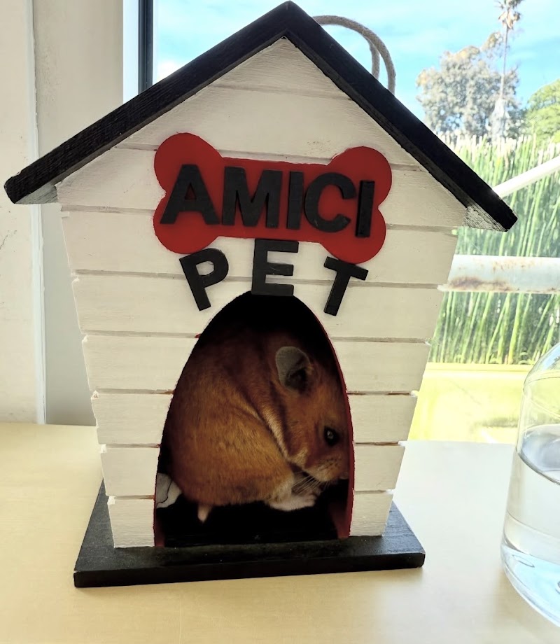 Amici Pet Hospital of Little Italy
