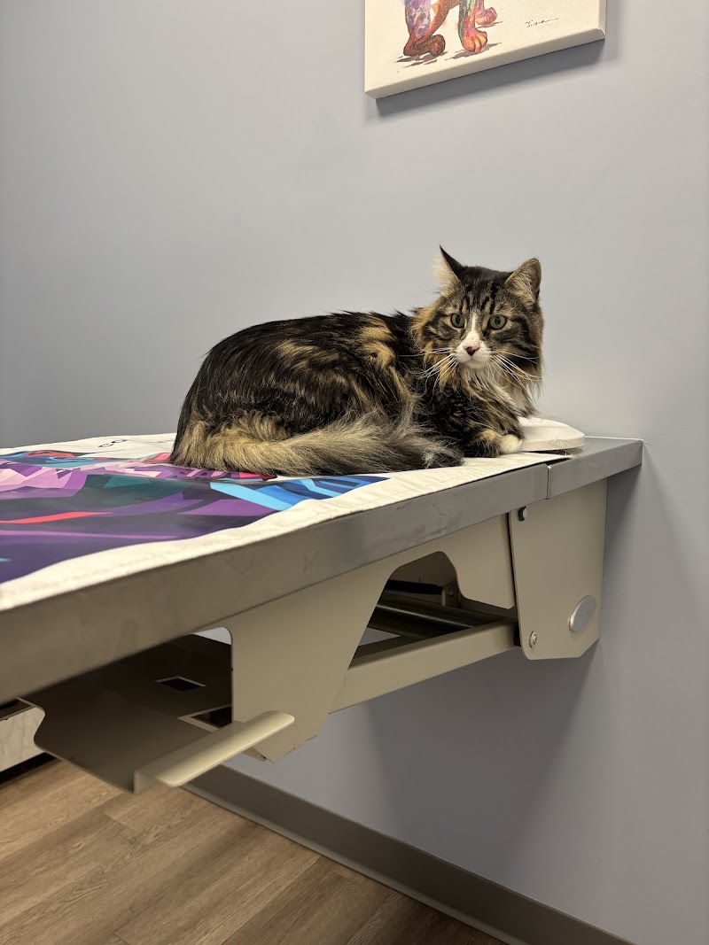 Inspire Animal Hospital