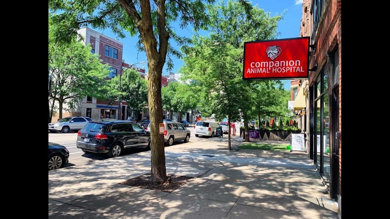 Companion Animal Hospital Wicker Park - Chicago