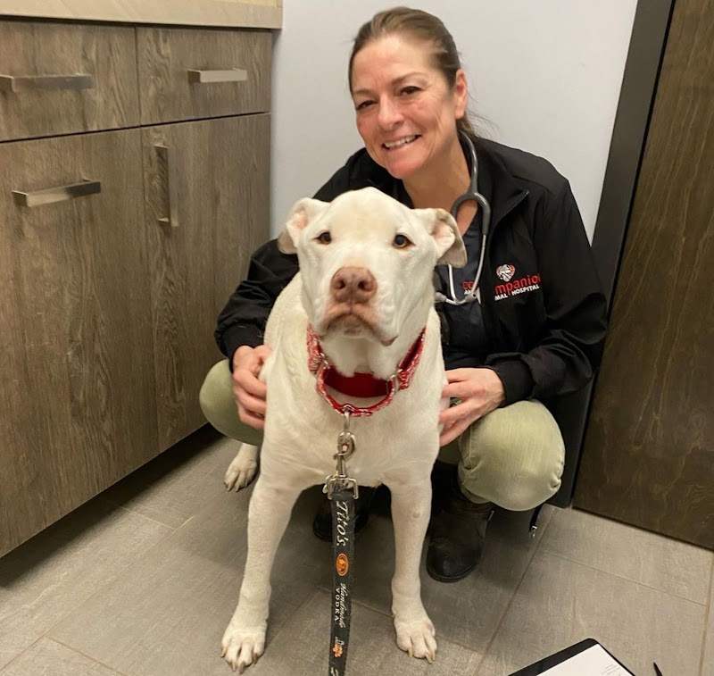 Companion Animal Hospital Wicker Park