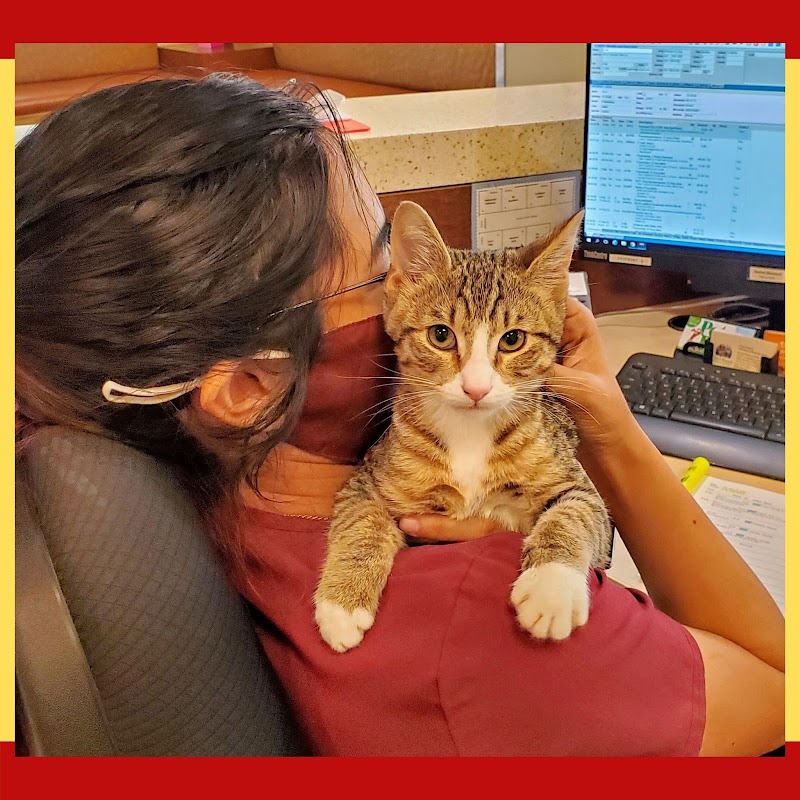 Cinco Ranch Veterinary Hospital