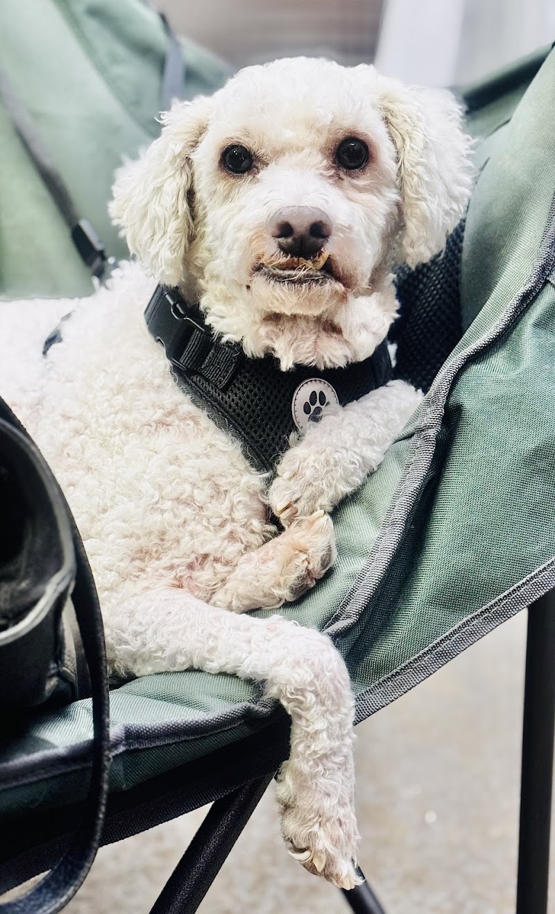 Cinco Ranch Veterinary Hospital
