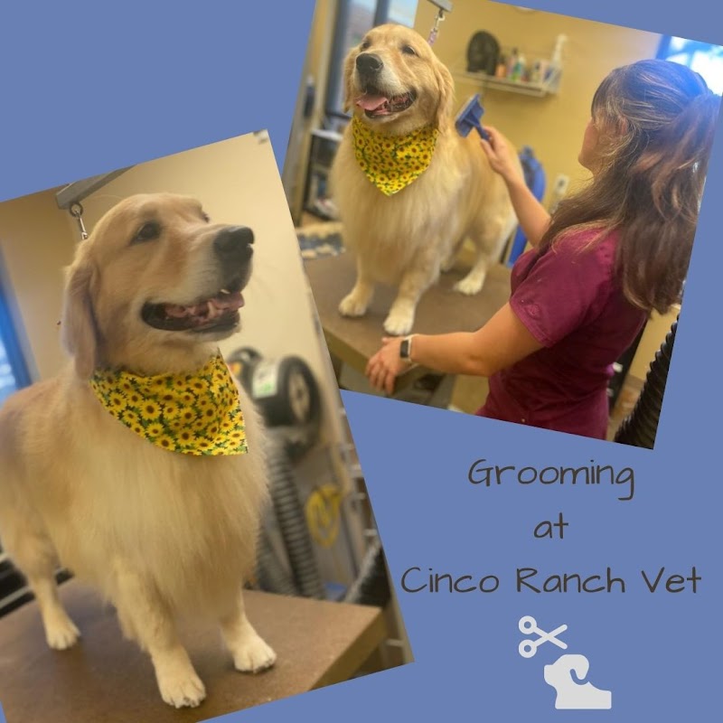 Cinco Ranch Veterinary Hospital