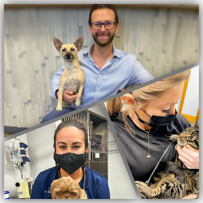 Uptown Animal Hospital