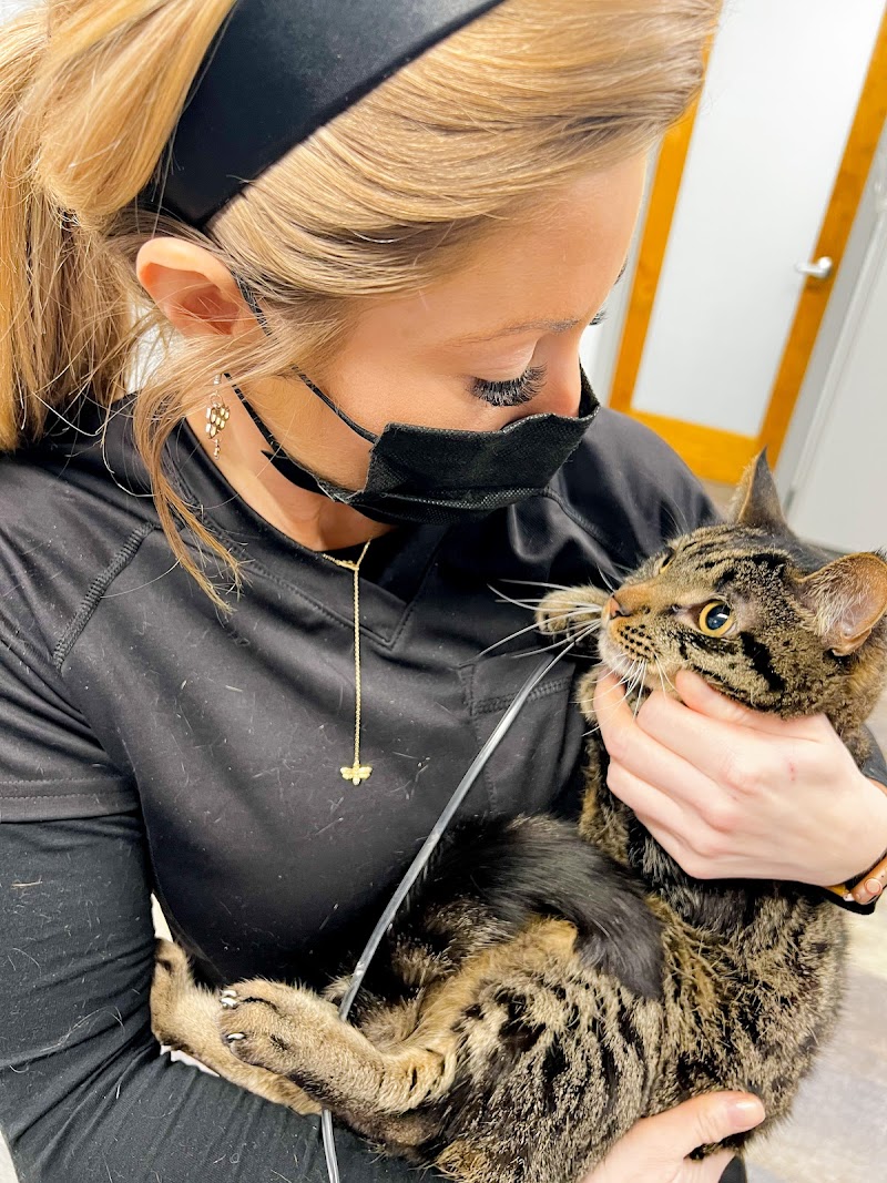 Uptown Animal Hospital