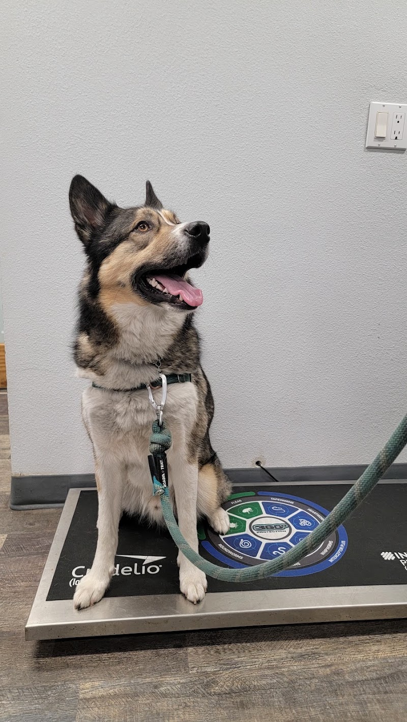 Uptown Animal Hospital
