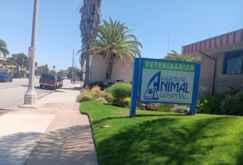 Harbor Animal Hospital