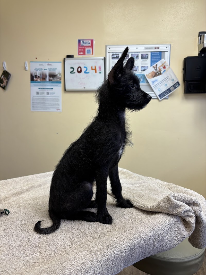 Harbor Animal Hospital