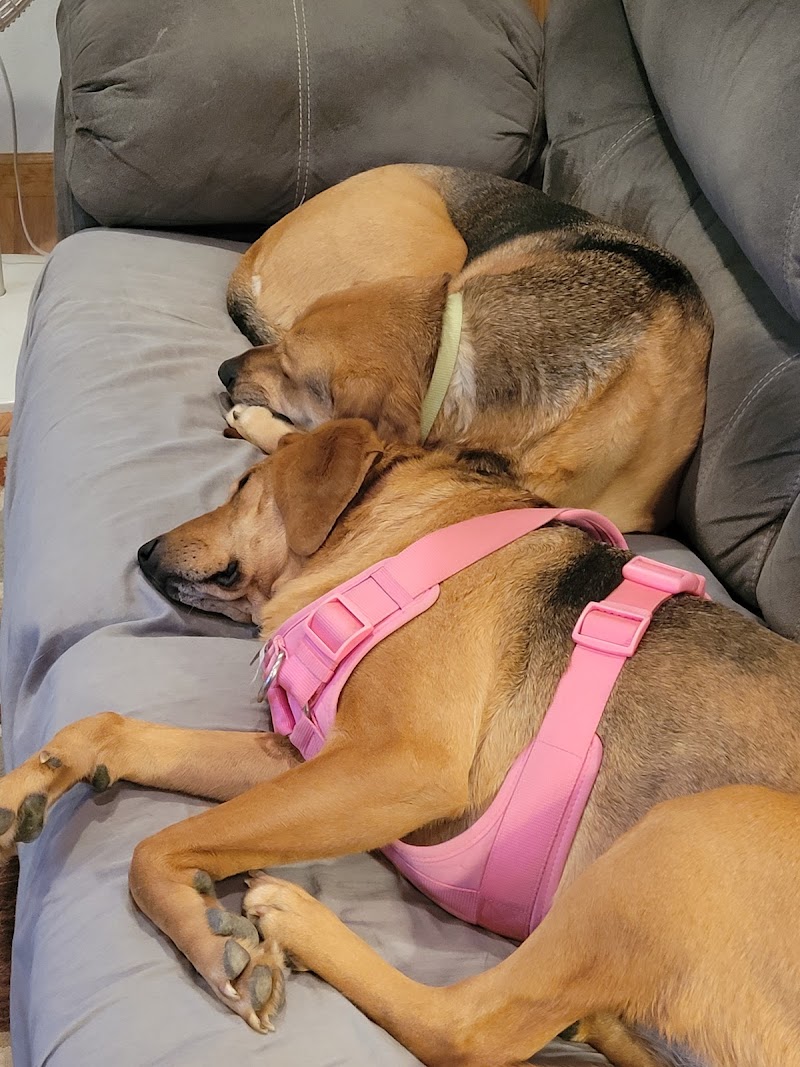 Southmarch Veterinary Hospital
