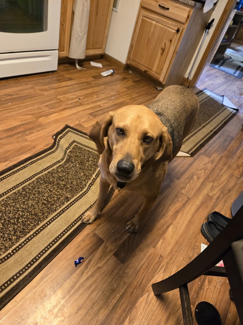 Southmarch Veterinary Hospital - Loveland