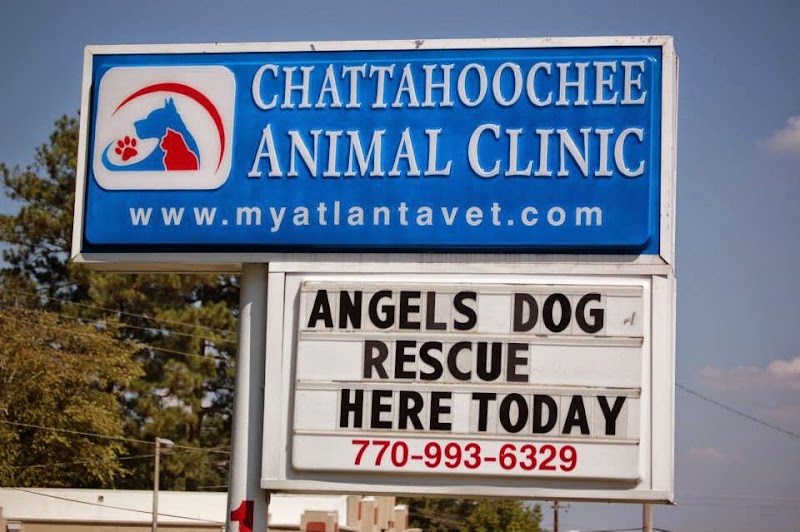 Chattahoochee Animal Clinic