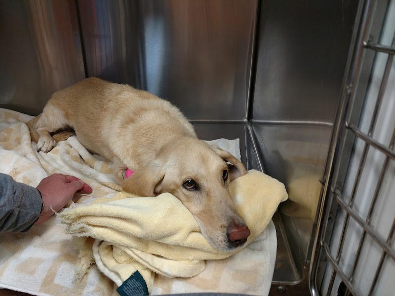 Chattahoochee Animal Clinic