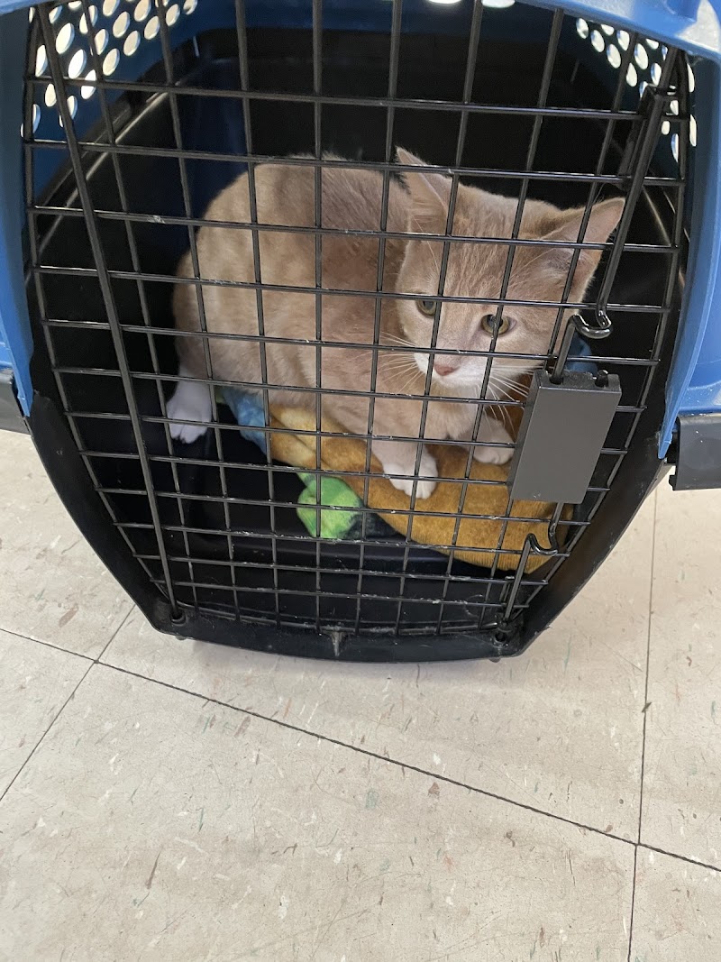 valley animal hospital