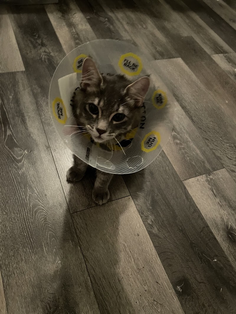 valley animal hospital