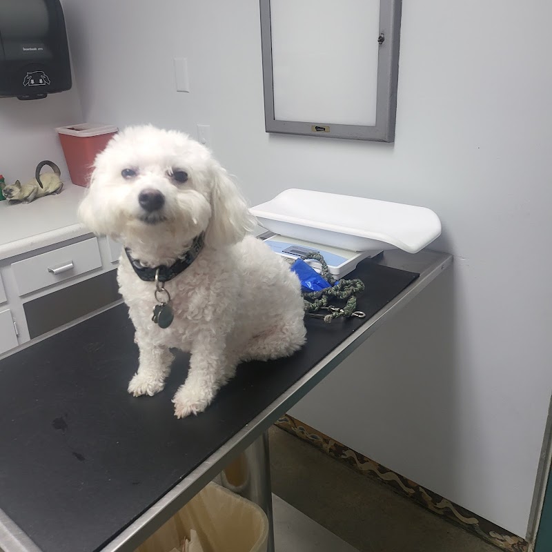 valley animal hospital