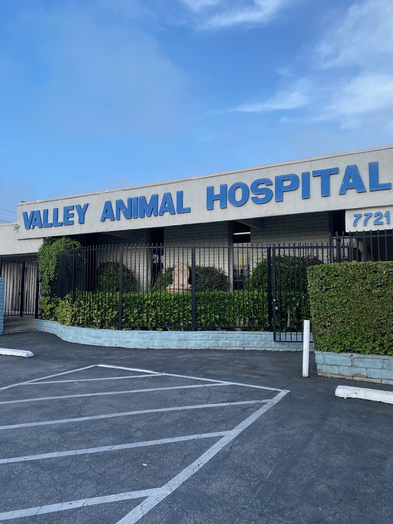 valley animal hospital