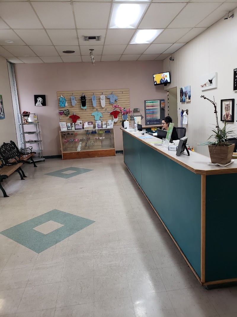 valley animal hospital
