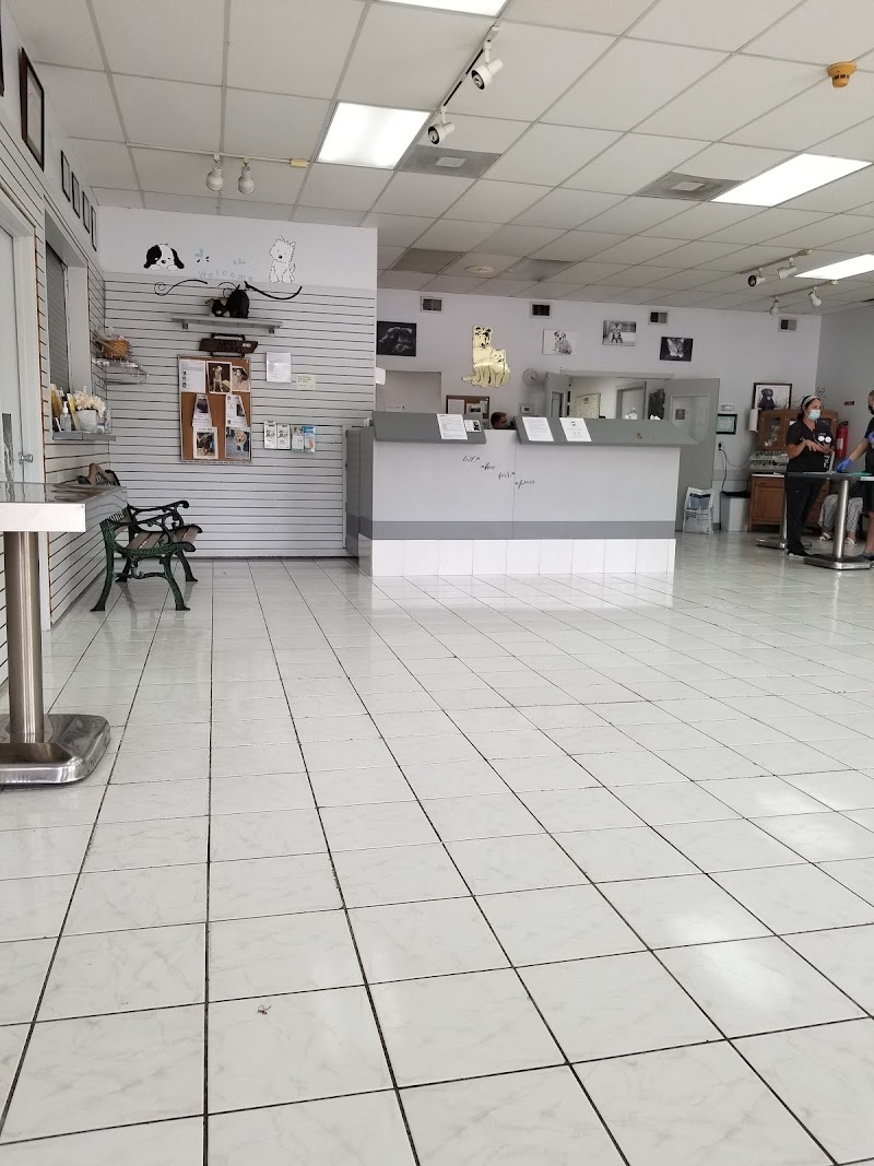 Springwood Veterinary Hospital