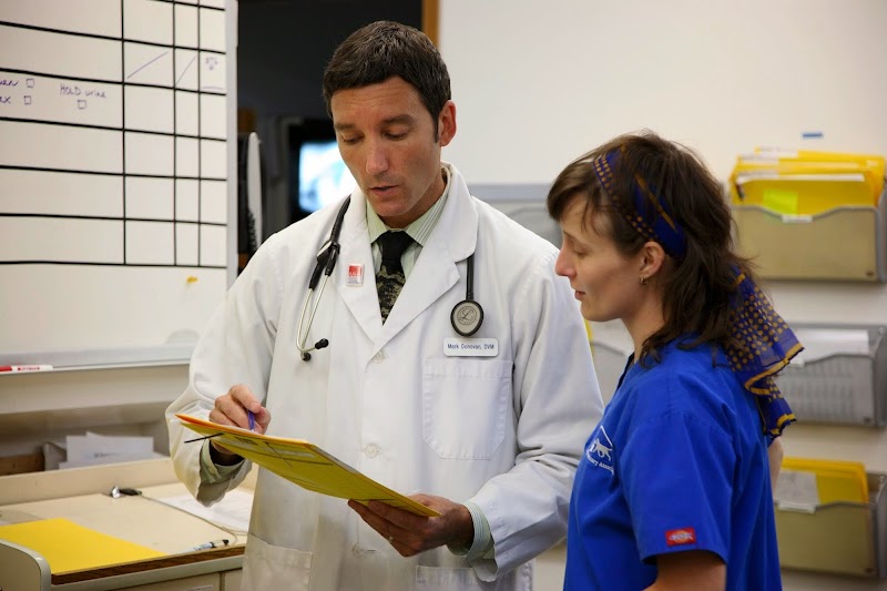 Seattle Veterinary Associates