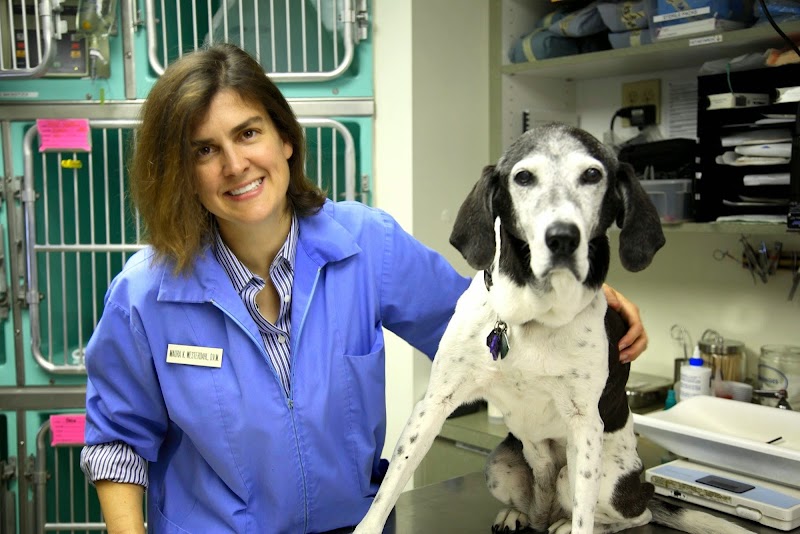 Seattle Veterinary Associates