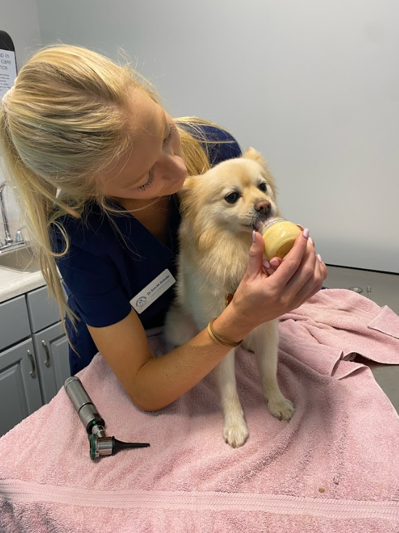 Charlotte Companion Animal Hospital