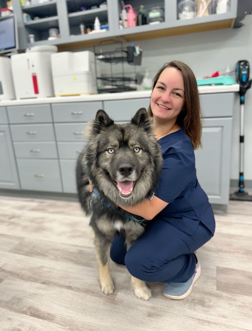 Charlotte Companion Animal Hospital
