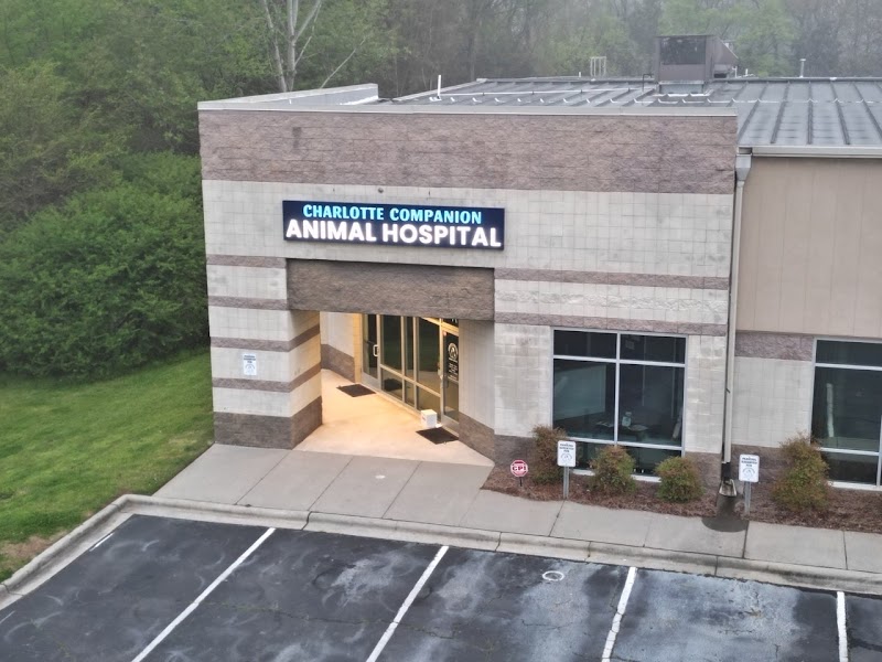 Charlotte Companion Animal Hospital