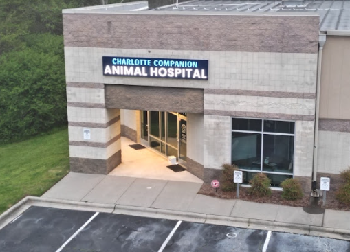 Charlotte Companion Animal Hospital - Charlotte