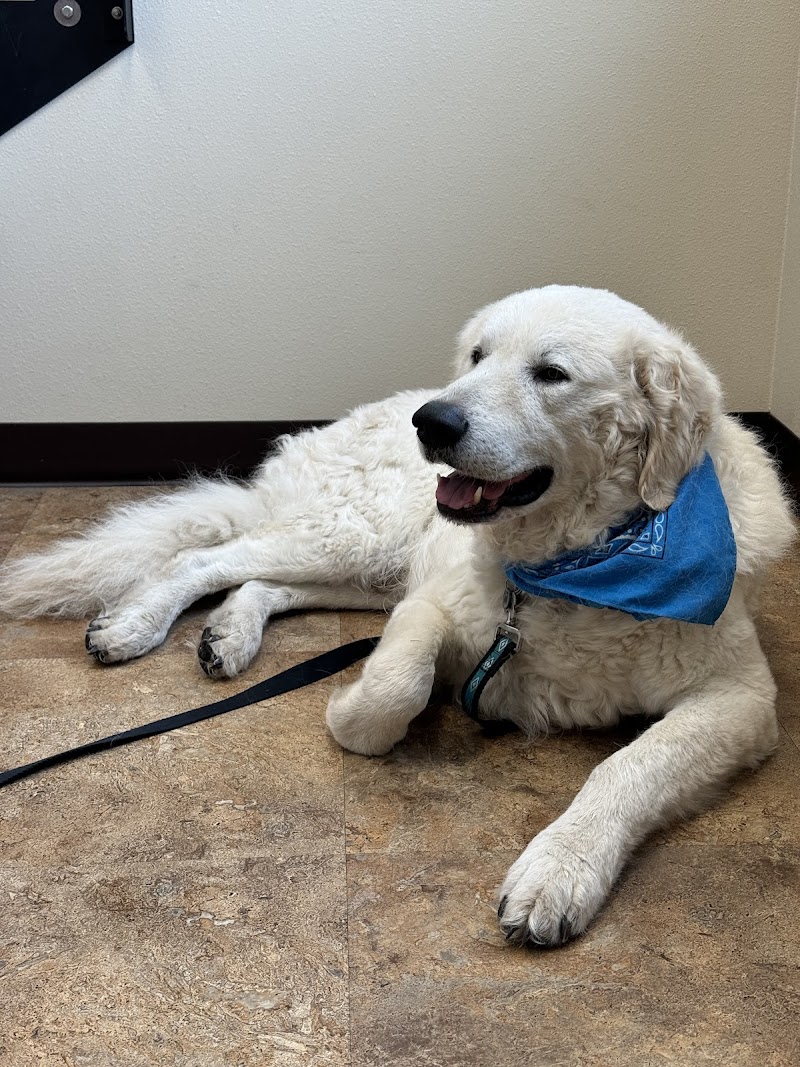 Twin Peaks Veterinary Clinic
