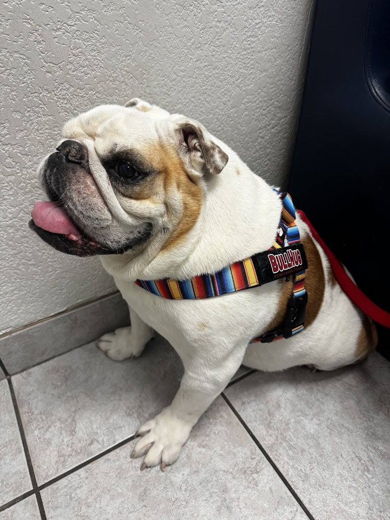 East Maryland Animal Hospital
