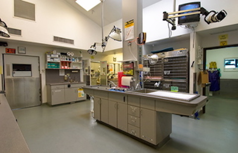 East Maryland Animal Hospital